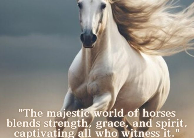 “Horses: Nature’s Ultimate Blend of Beauty and Power”